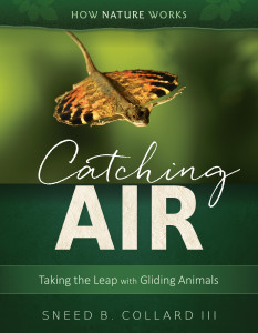 Catching Air: Taking the Leap with Gliding Animals (Tilbury House, Spring 2017)