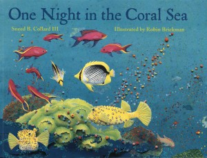 One Night in the Coral Sea, Charlesbridge Publishing, 2005