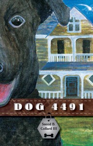 Dog 4491, Bucking Horse Books, 2013 (Distributed by Mountain Press)