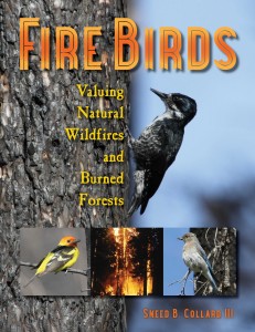 FIRE BIRDS (Bucking Horse Books, January 2015)—a Junior Library Guild Selection.