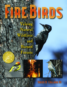 Fire Birds has been racking up terrific reviews and receiving a lot of attention--no surprise given this year's record-breaking heat!