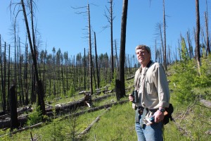 Biologist Dick Hutto in the Black Mountain burn area near Missoula, Montana.