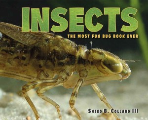Insects: The Most Fun Bug Book Ever (Charlesbridge Publishing, March 2017)