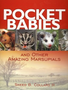 Pocket Babies and Other Amazing Marsupials, Lerner Publishing, 2007