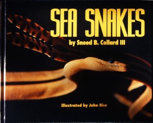 Sea Snakes