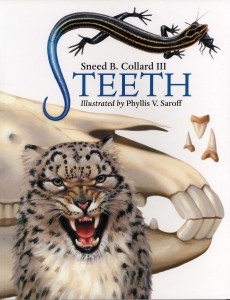 Teeth, Charlesbridge Publishing, 2008