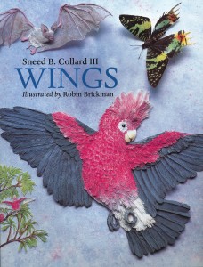 WIngs, Charlesbridge Publishing, 2008